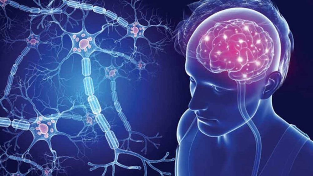 لیست پزشکان فوق تخصص ام اس MS در شیراز