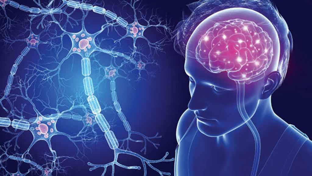 لیست پزشکان فوق تخصص ام اس MS در شیراز